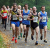 2016 Gibside Fruit Bowl Trail