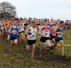 2016 North Eastern Cross Country Champs