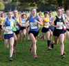 2016 Northern Cross Country Relays