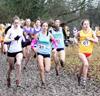 2016 Northern Inter Counties Schools Cross Country