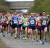 2016 Terry O'Gara Memorial 5k