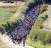 2025 Tynedale Pie n Peas 10k 
